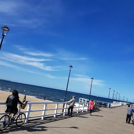 Ceynowa Brzezno Gdańsk