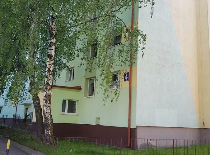 Ceynowa Brzezno Gdańsk