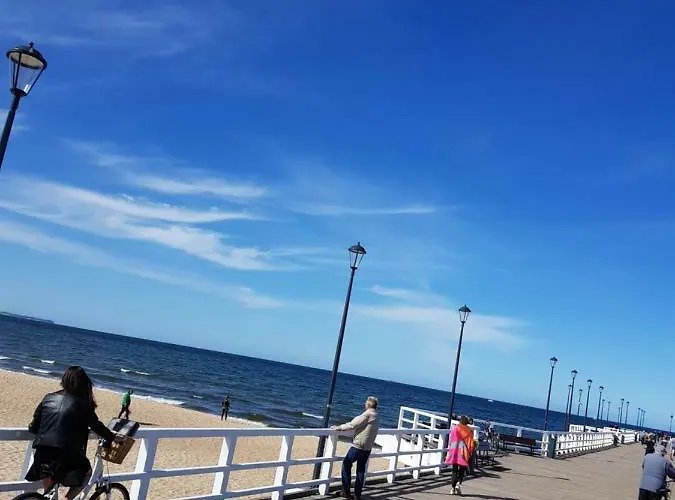 Ceynowa Brzezno גדנסק